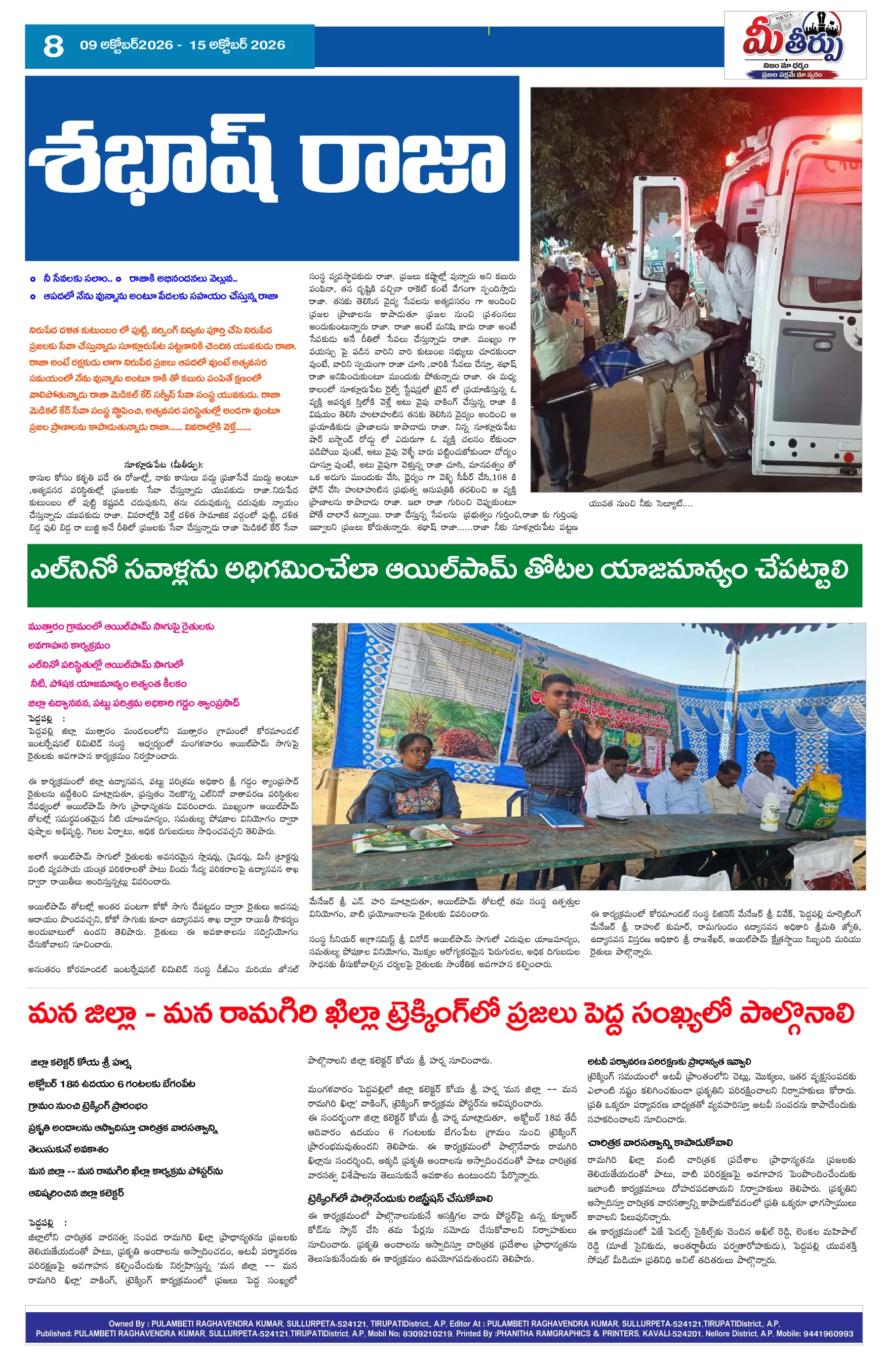 Page 8